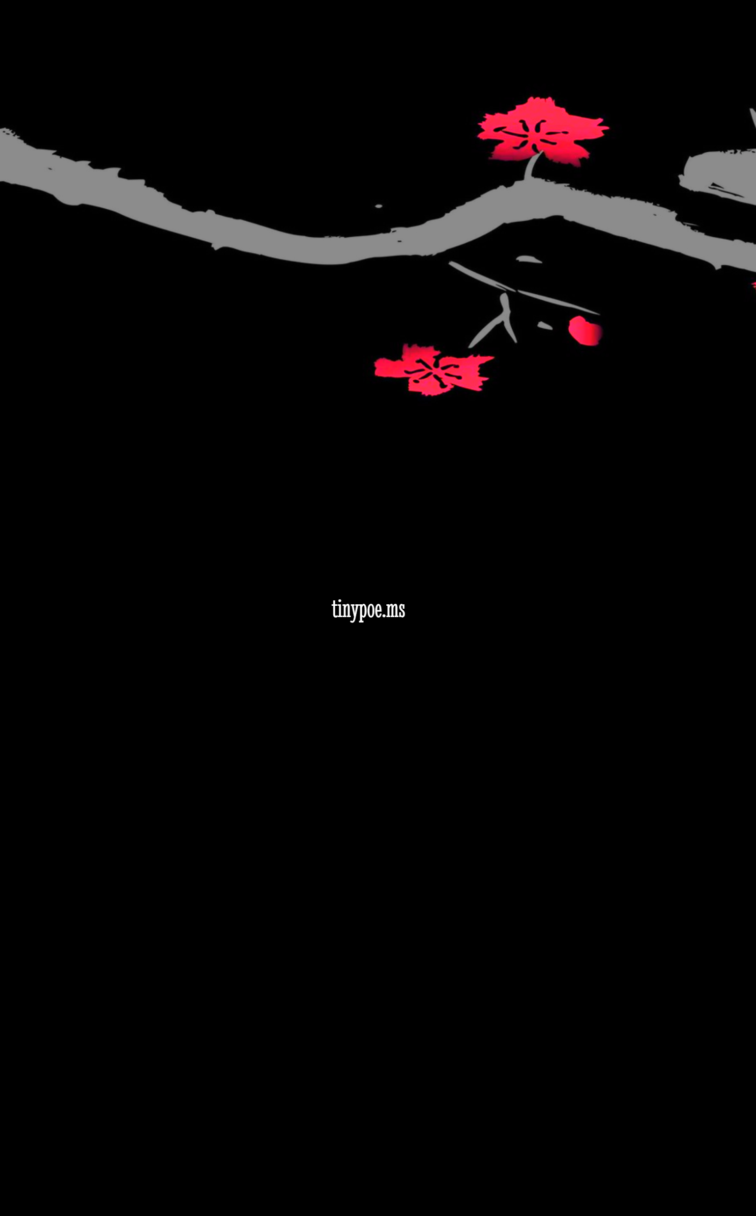 100 tiny poems — back cover